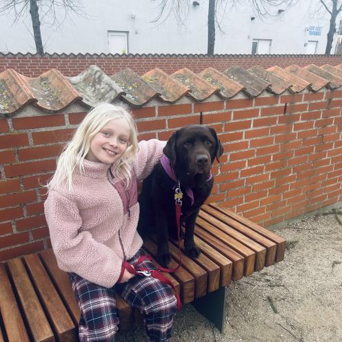 mørkebrun labrador og lysåret pige sidder sammen på en bænk. hunden har et lilla læsehundstørklæde om halsen